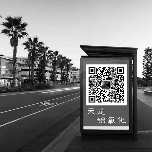 铸铝阳草莓视频黄色免费观看